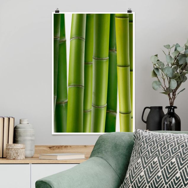 Déco murale cuisine Plantes de bambou
