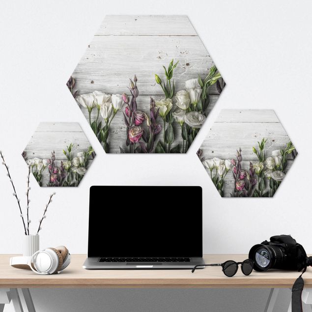 Hexagone en alu Dibond - Tulip Rose Shabby Wood Look