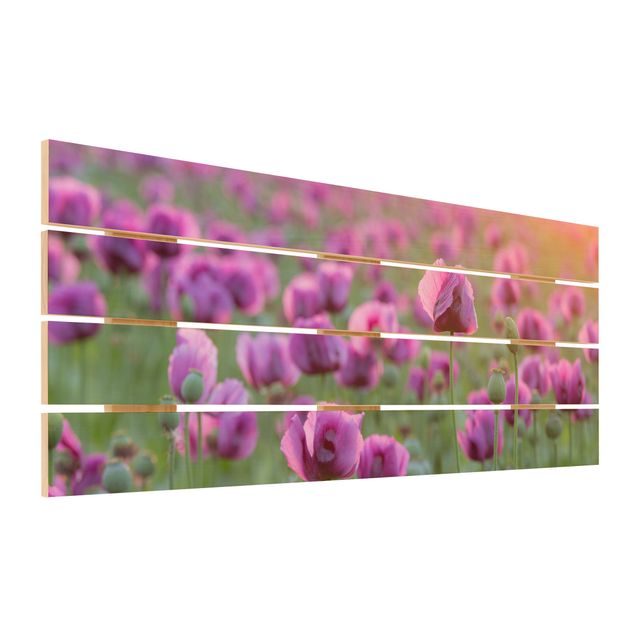 Tableaux en bois Prairie de coquelicots violets au printemps