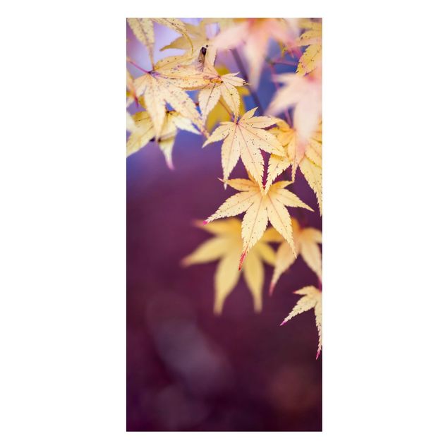 Tableaux magnétiques avec fleurs Érable d'automne