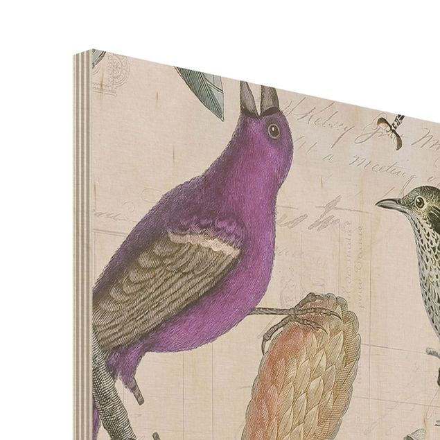 Tableaux muraux Collage Vintage - Oiseaux Nostalgiques