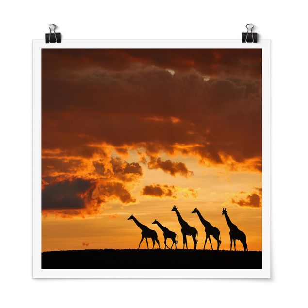 Tableau moderne Cinq Girafes