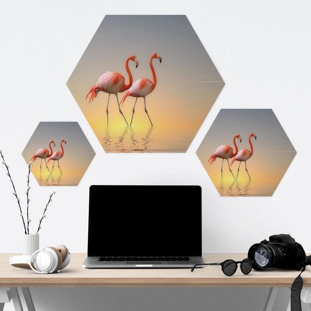 Hexagone en forex - Flamingo Love