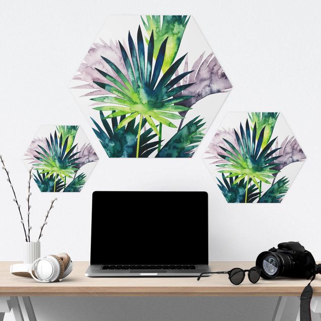 Hexagone en forex - Exotic Foliage - Fan Palm
