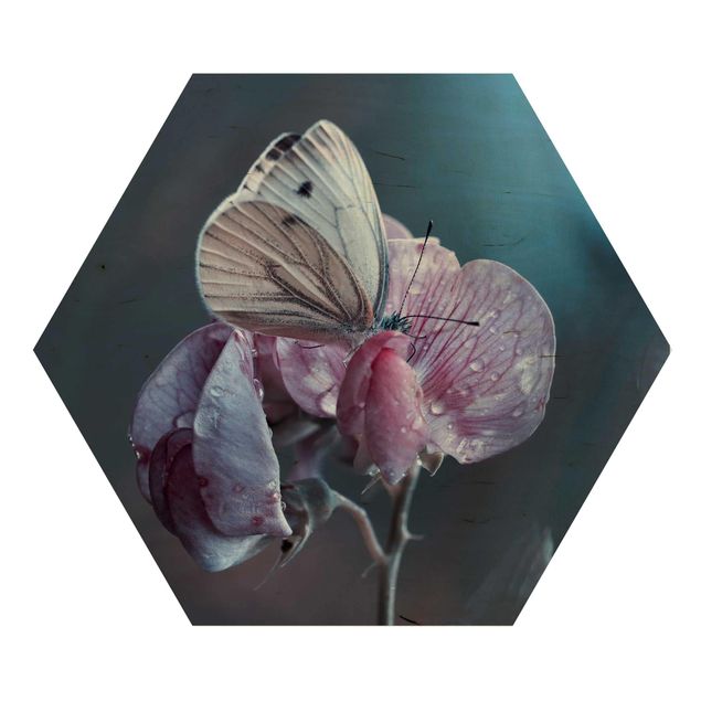 Hexagone en bois - Butterfly In The Rain