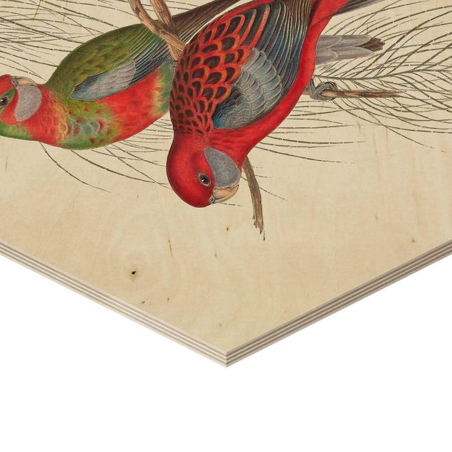 Hexagone en bois - Tropical Parrot III