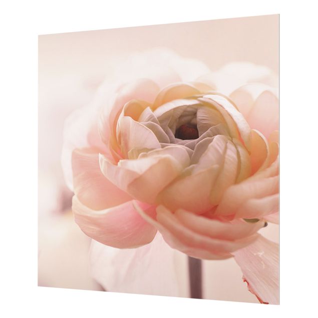 Fonds de hotte - Focus On Light Pink Flower - Carré 1:1