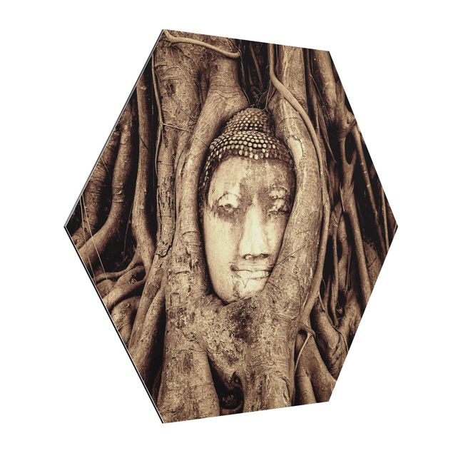 Tableaux modernes Bouddha d'Ayutthaya doublé de racines d'arbre en brun