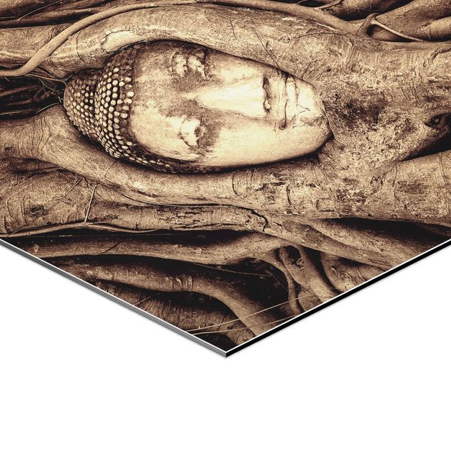 Tableaux Bouddha d'Ayutthaya doublé de racines d'arbre en brun