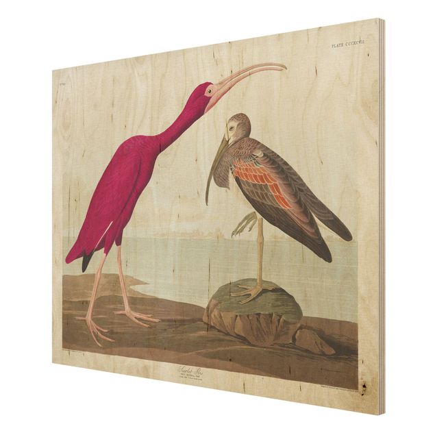 Tableaux en bois avec plage & mer Tableau Vintage Ibis rouge