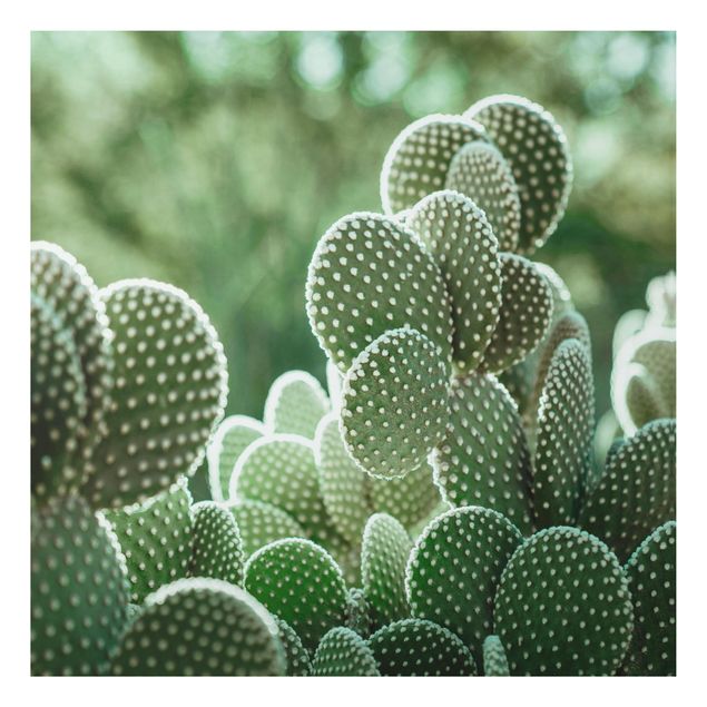 Tableaux modernes Cactus