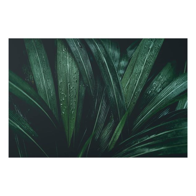 Fond de hotte - Green Palm Leaves
