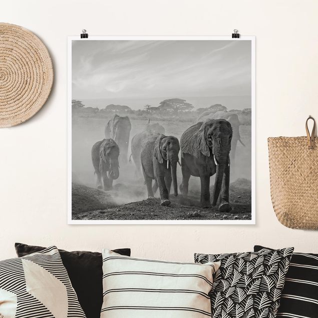 Tableau paysage Troupeau d'éléphants