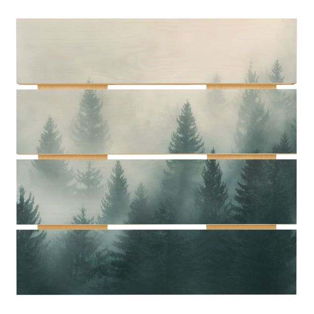 Tableaux en bois Forêt de conifères dans le brouillard