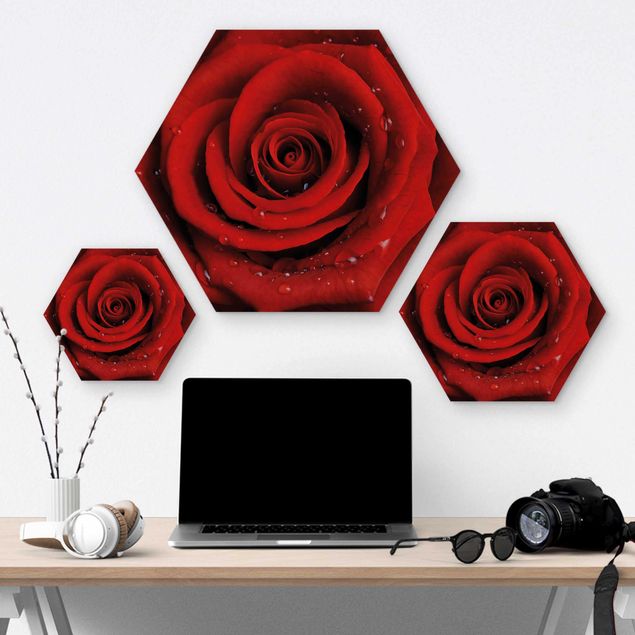 Hexagone en bois - Red Rose With Water Drops