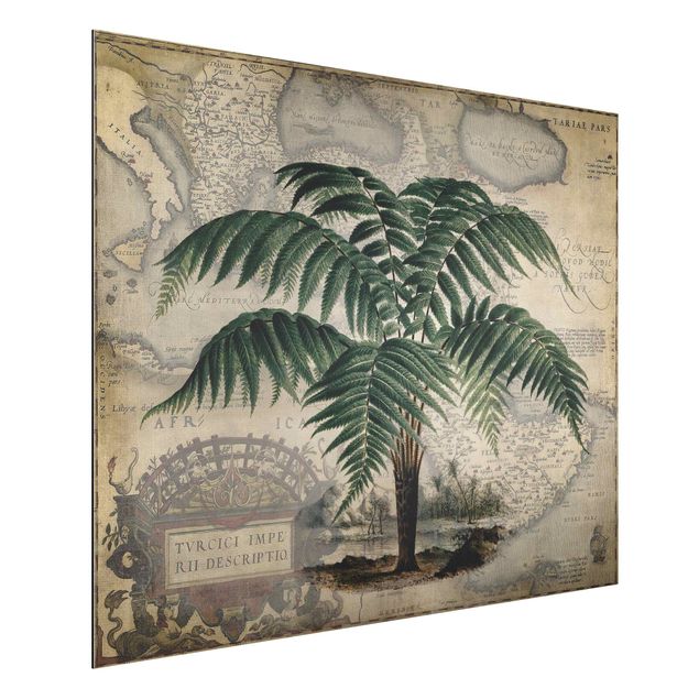 Déco murale cuisine Collage Vintage - Palmier et carte du monde