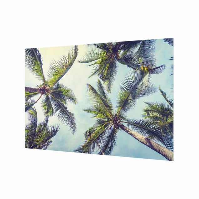 Fonds de hotte - The Palm Trees - Format paysage 3:2