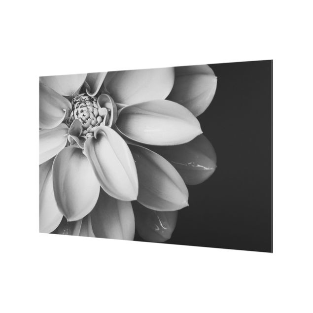 Fonds de hotte - In The Heart Of A Dahlia Black And White - Format paysage 3:2