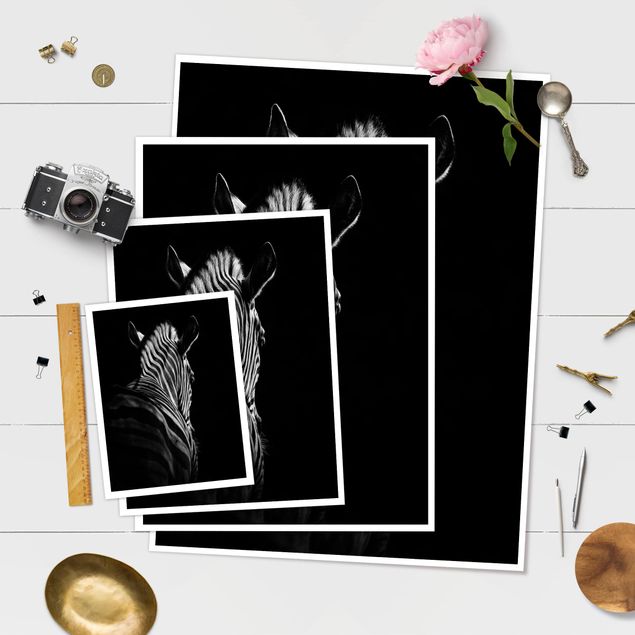 Posters muraux Silhouette de zèbre en noir et blanc