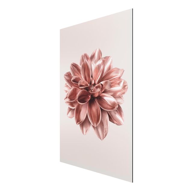 tableaux floraux Fleur de dahlia rose or métallique