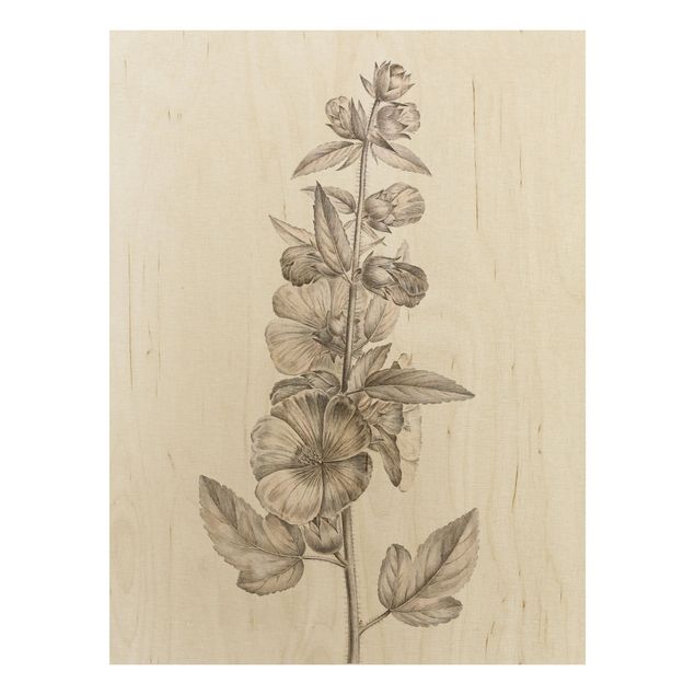 Tableaux en bois avec fleurs Étude botanique en sépia II