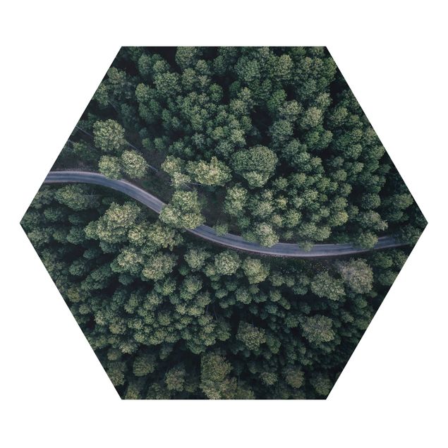 Tableau nature Vue aérienne - Route forestière vue d'en haut