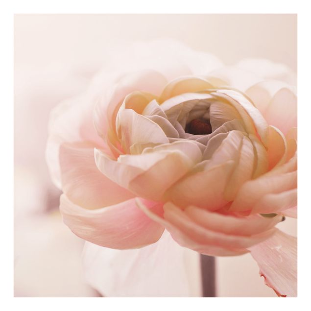 Fonds de hotte - Focus On Light Pink Flower - Carré 1:1