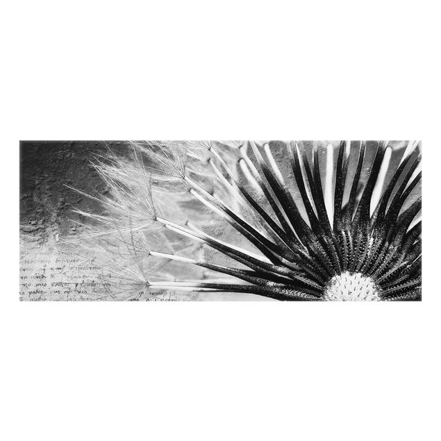 Fond de hotte - Dandelion Black & White