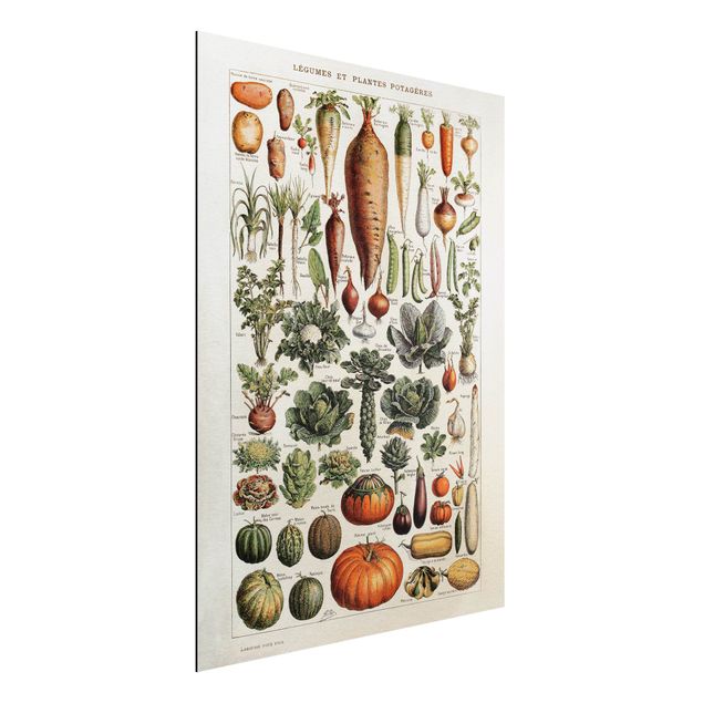 Déco mur cuisine Tableau Vintage Légumes