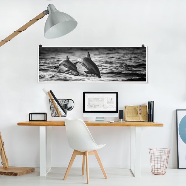 Posters en noir et blanc Deux dauphins qui sautent
