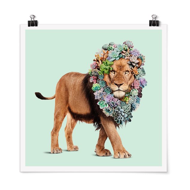 Tableau lion Lion avec Succulents