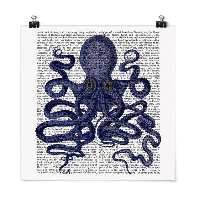 Tableau animaux Lecture des animaux - Octopus