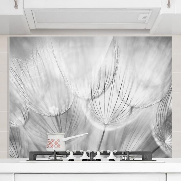 Décorations cuisine Pissenlits en macrophotographie en noir et blanc