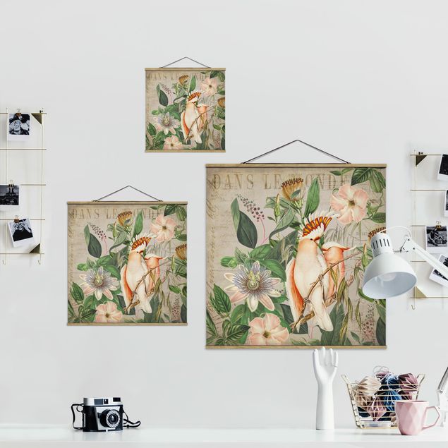 Tableaux de Andrea Haase Colonial Style Collage - Galah