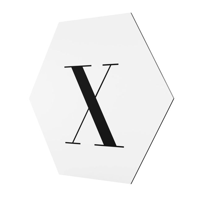 Tableau hexagon Lettre Serif Blanc X