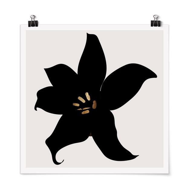 Poster fleurs Monde végétal graphique - Orchidée noire et or