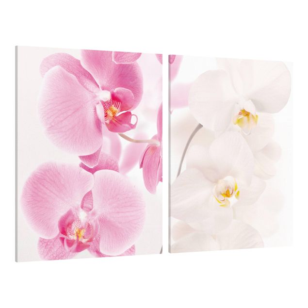 Tableau toile orchidée Orchidées délicates