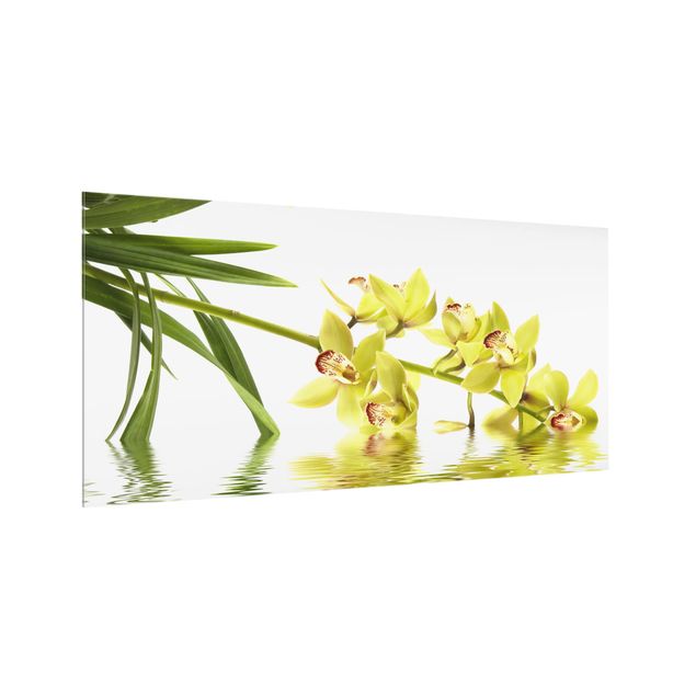 Fonds de hotte Eaux élégantes d'orchidées