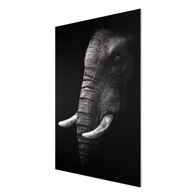 Tableau éléphant Portrait d'éléphant sombre