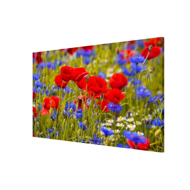 Tableaux magnétiques avec fleurs Prairie d'été avec coquelicots et bleuets