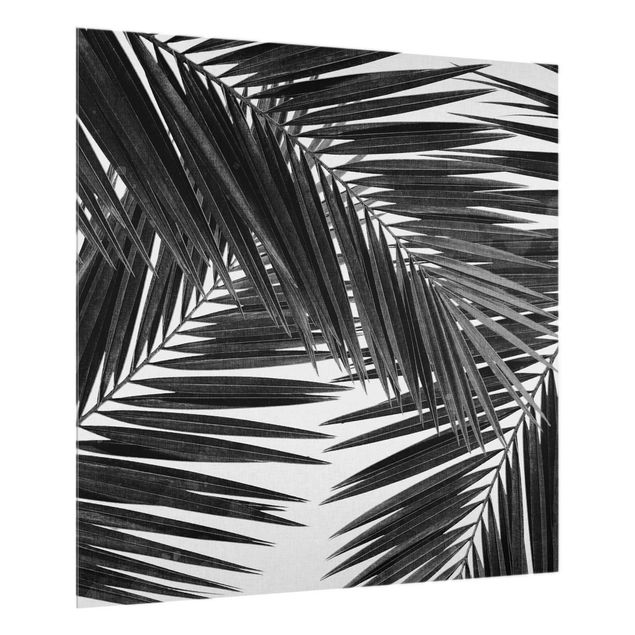 Fond de hotte verre Vue sur des feuilles de palmier noir et blanc