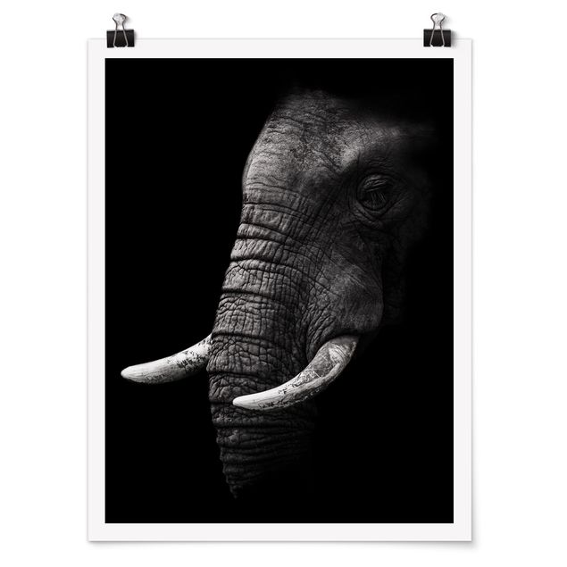 Posters en noir et blanc Portrait d'éléphant sombre