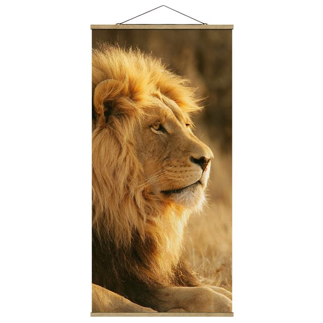 Tableau moderne King Lion