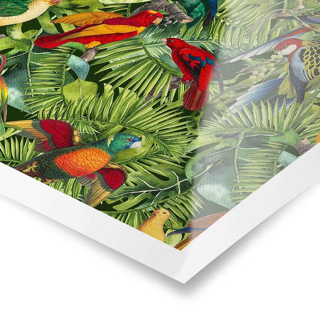 Tableau multicolor Collage coloré - Perroquets dans la jungle