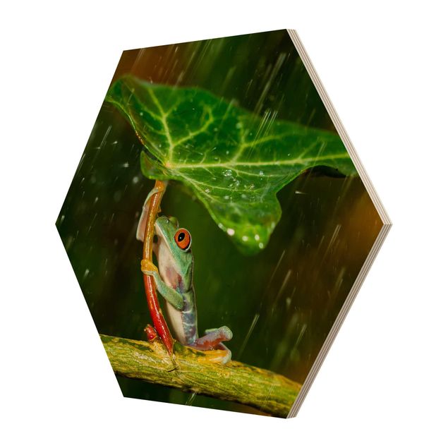 Hexagone en bois - Frog In The Rain