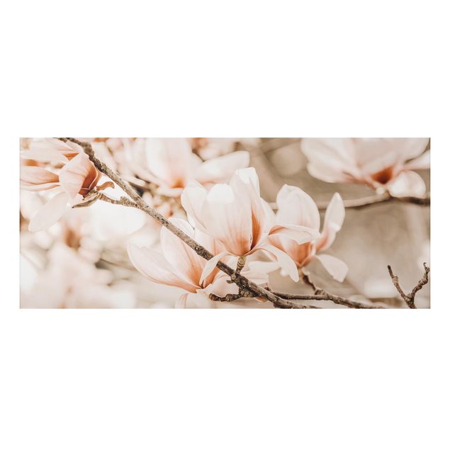 Tableau paysages Rameau de magnolia style vintage