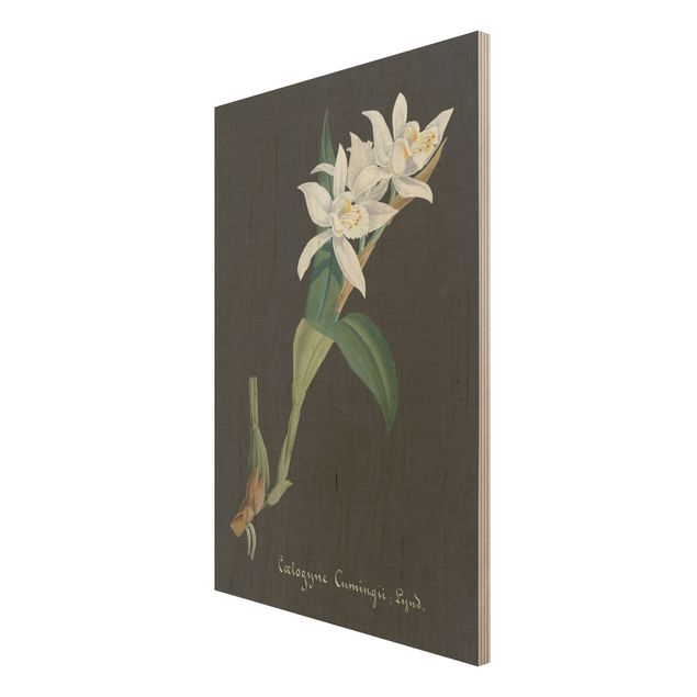 Tableau vintage bois Orchidée blanche sur lin II