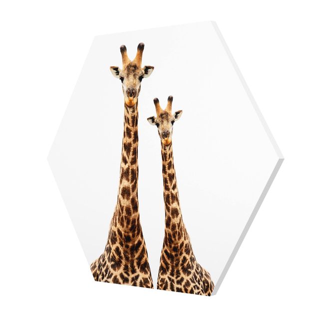 Tableau décoration Portait de deux girafes
