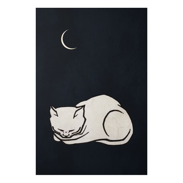 Tableau chats Illustration d'un chat endormi
