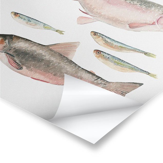Posters Sept poissons à l'aquarelle I